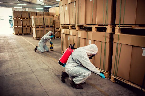Flea Control Services in Rocky River, OH