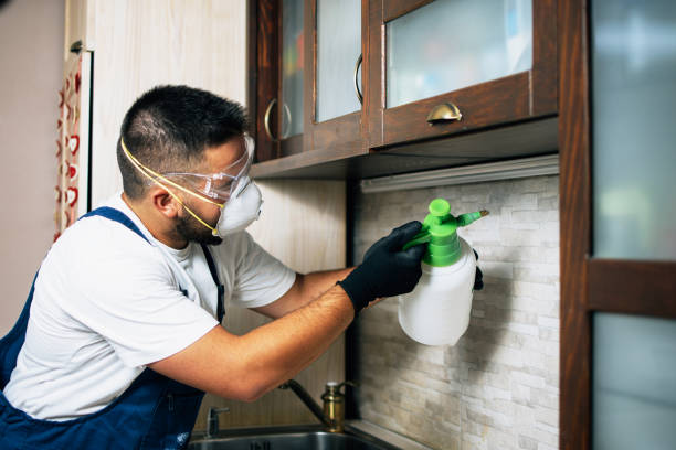 Best Affordable Pest Control Services  in Rocky River, OH