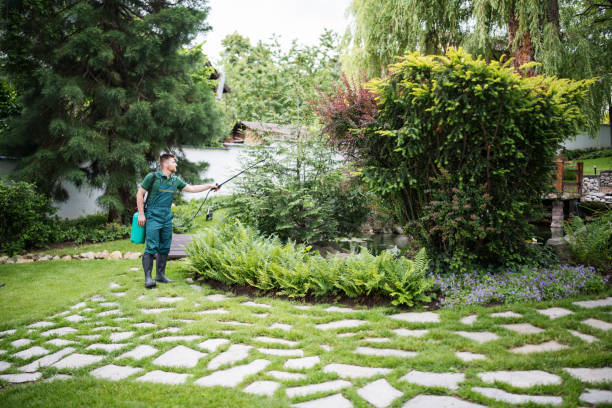 Best Local Pest Control Services  in Rocky River, OH