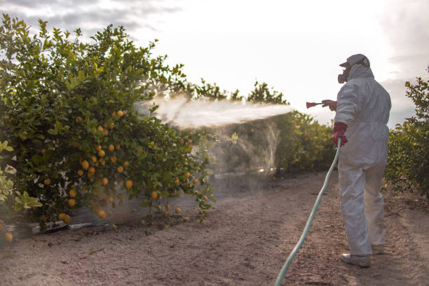 Insect Control in Rocky River, OH