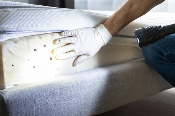 Best Best Pest Control Companies  in Rocky River, OH