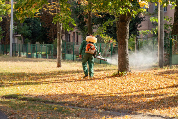 Rocky River, OH Pest Control Company