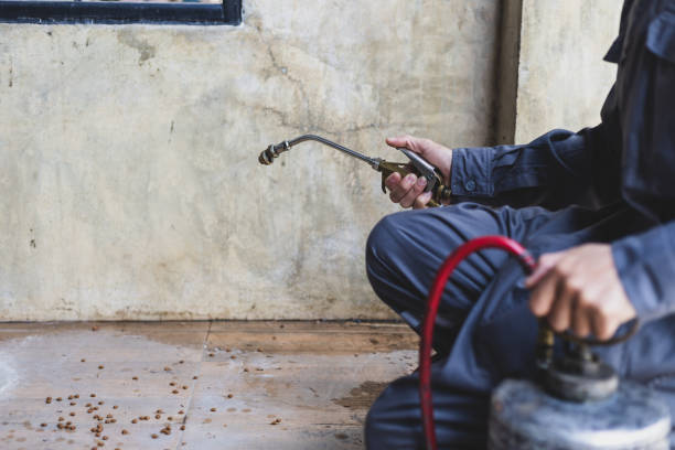 Best Rat Extermination Near Me  in Rocky River, OH