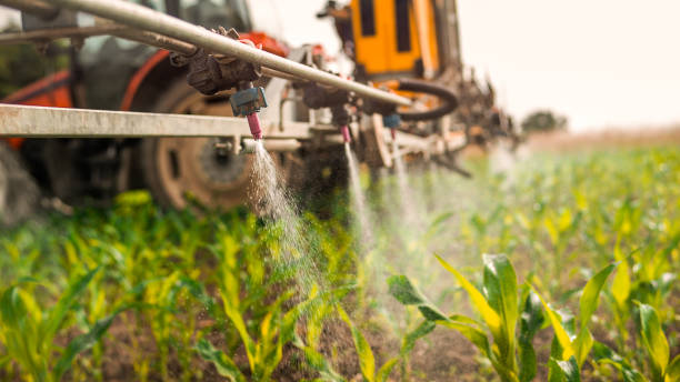 Best Commercial Pest Control Services  in Rocky River, OH